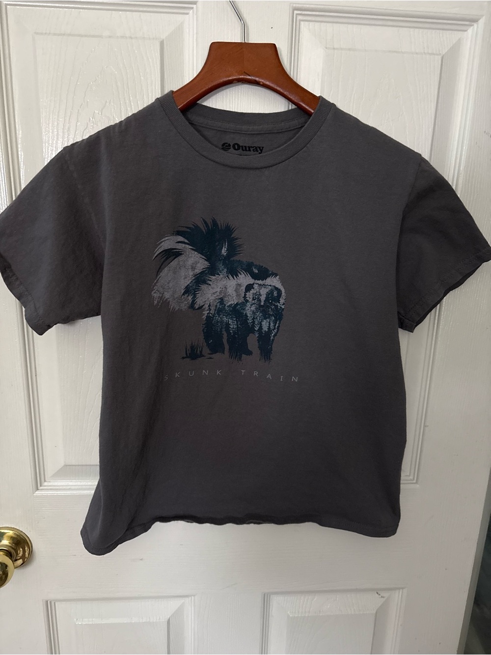 Ouray Kids' Charcoal Graphic Skunk Tee